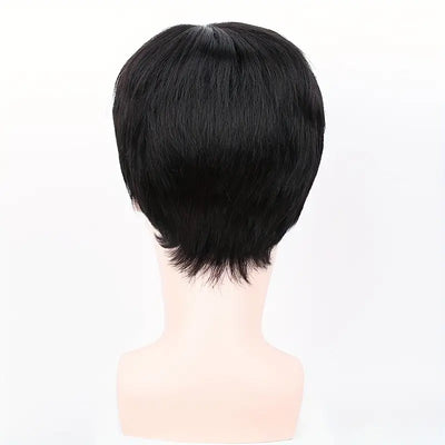 Natural Look Human Hair Wig for Men