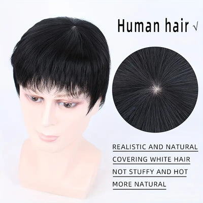 Natural Look Human Hair Wig for Men